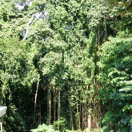 Latugu Homestay Ubud Bagian luar foto