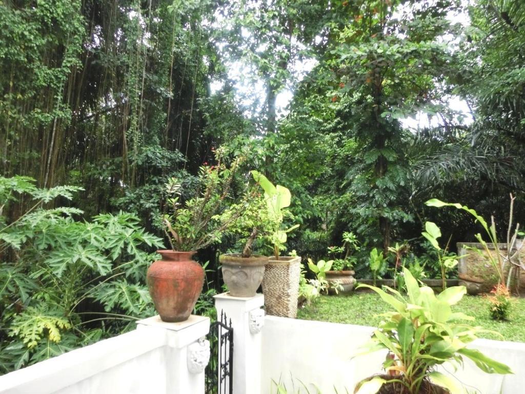 Latugu Homestay Ubud Ruang foto