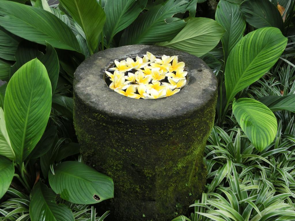 Latugu Homestay Ubud Bagian luar foto